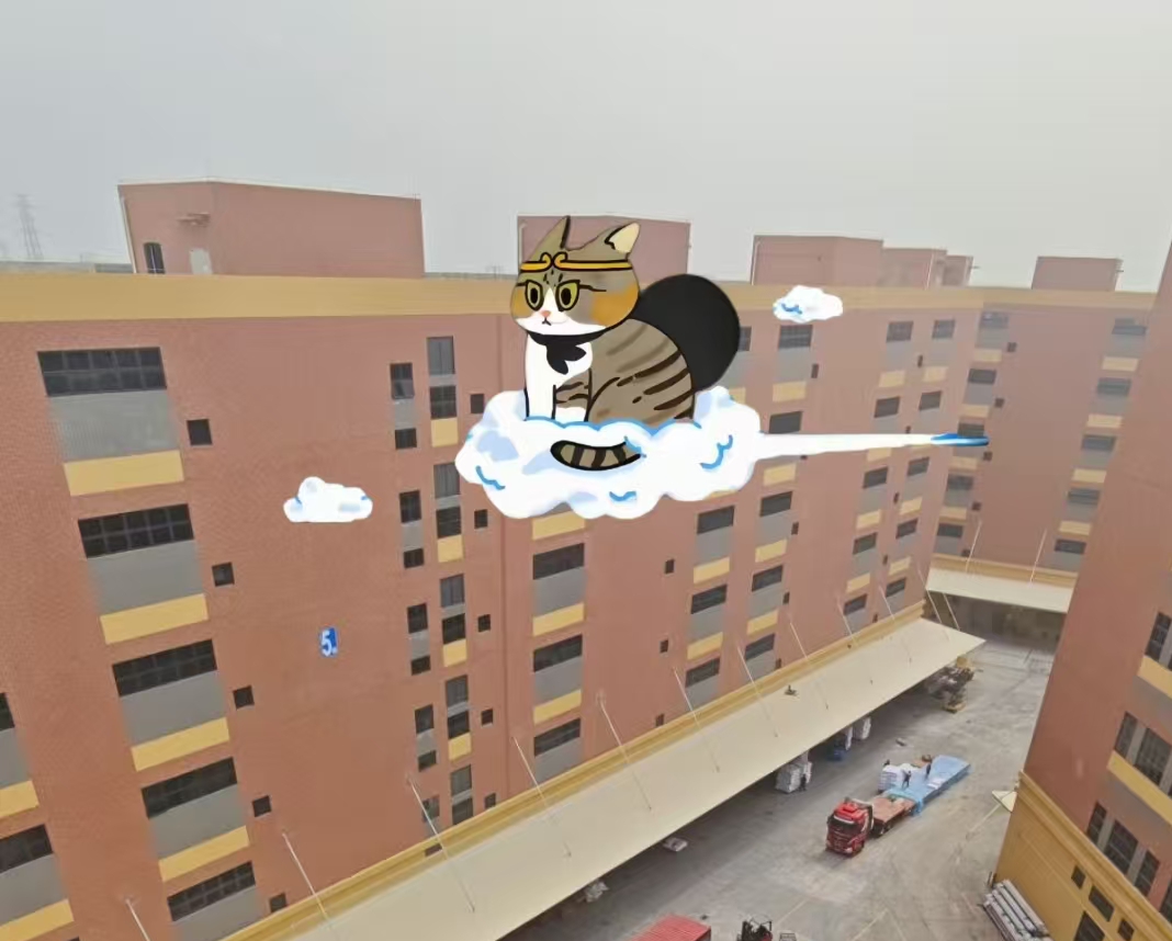 佛山棉纱仓库发现悟空小猫！