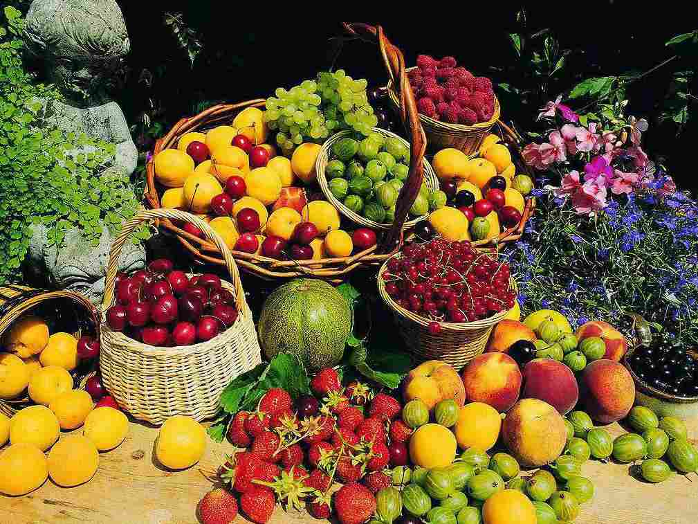 佛山西站生鲜水果药材类多功能冷库园区