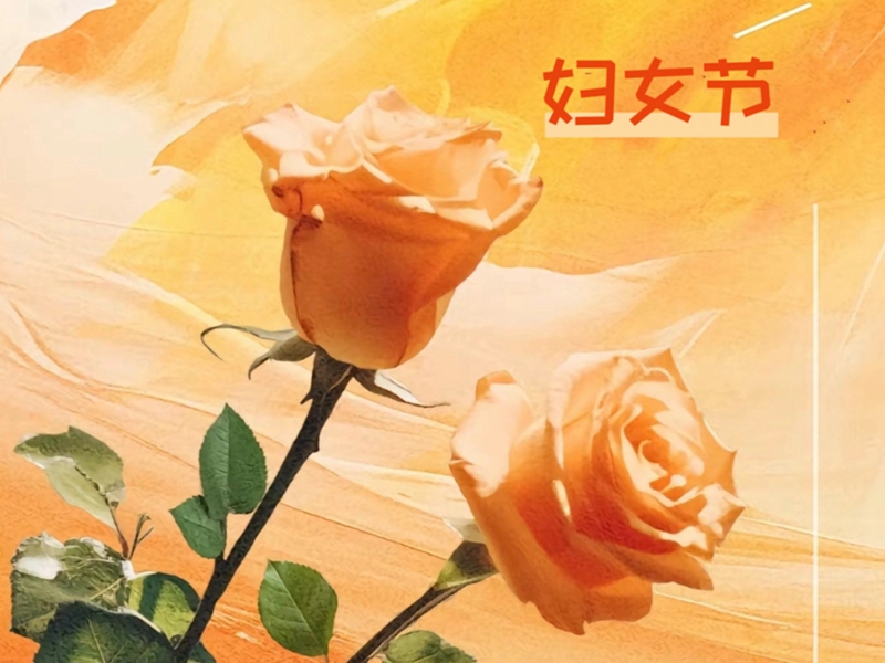 全储物流祝所有女生妇女节快乐！