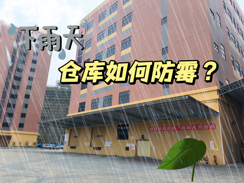 仓库如何防霉？